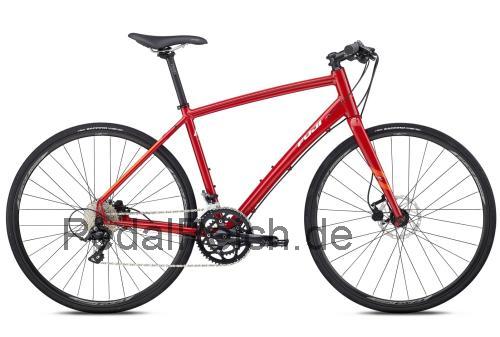 Fuji Absolute 1.3 Disc  technische daten 
